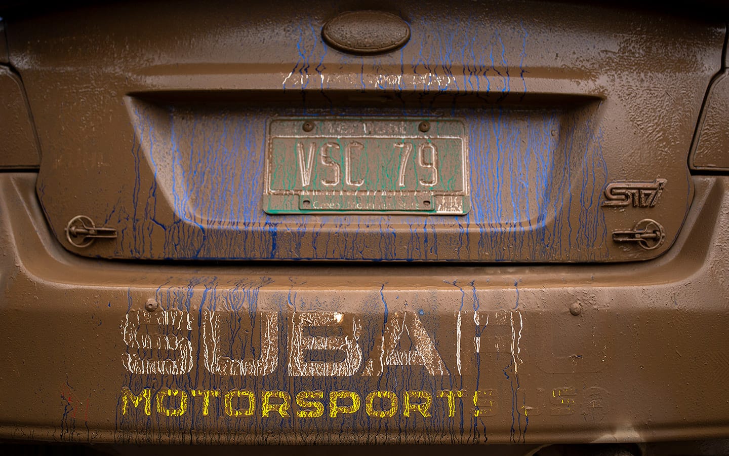 MSP17821 web