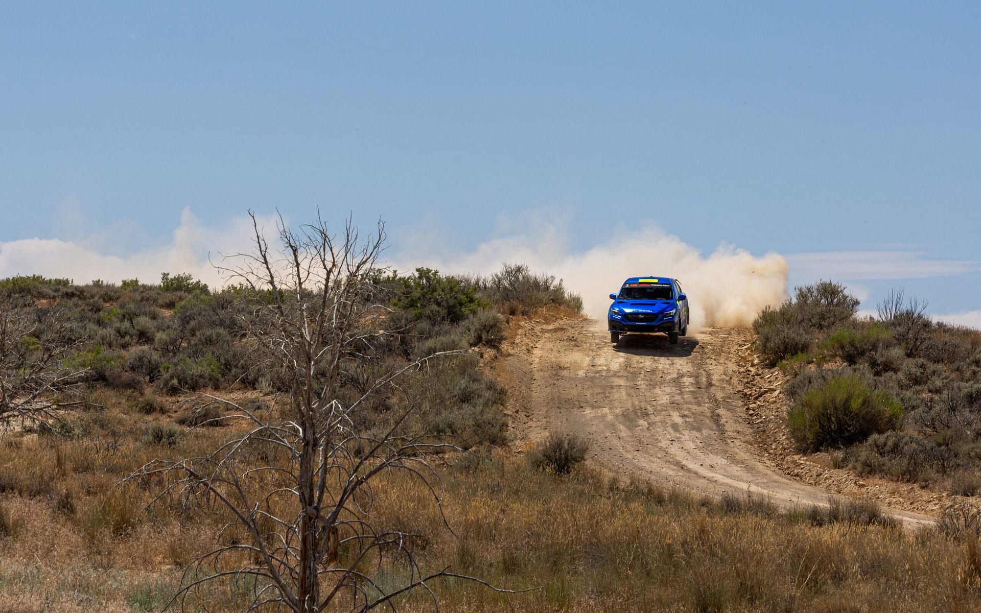 Matt Stryker Rally Colorado MSP33704 scaled